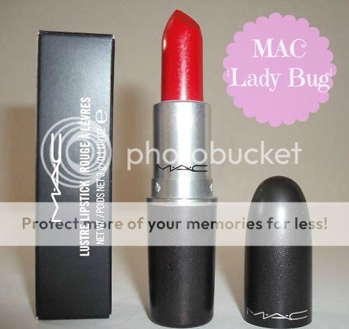 photo ladybug_zps81acb08f.jpg