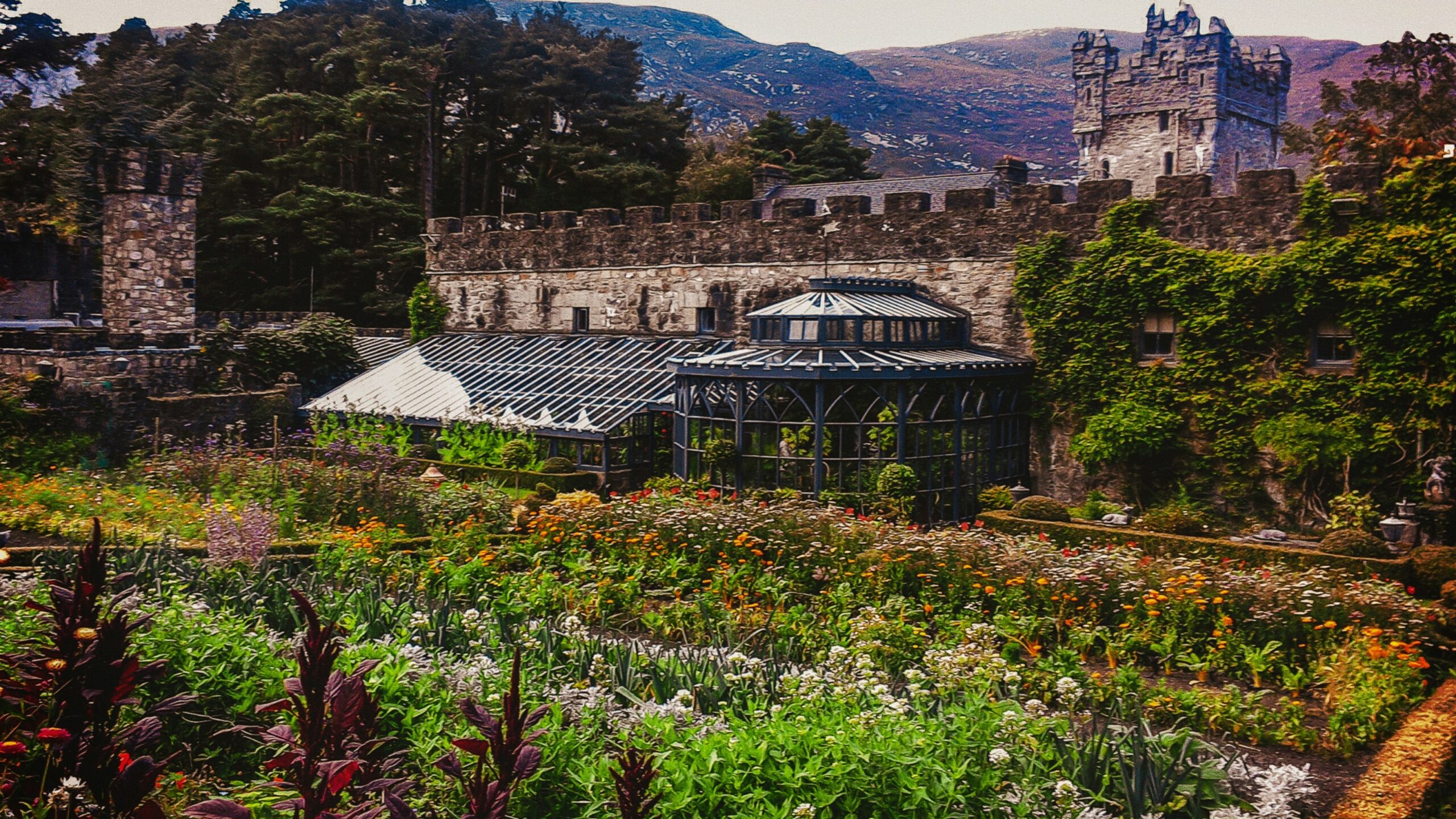 Donegal Castle gardens