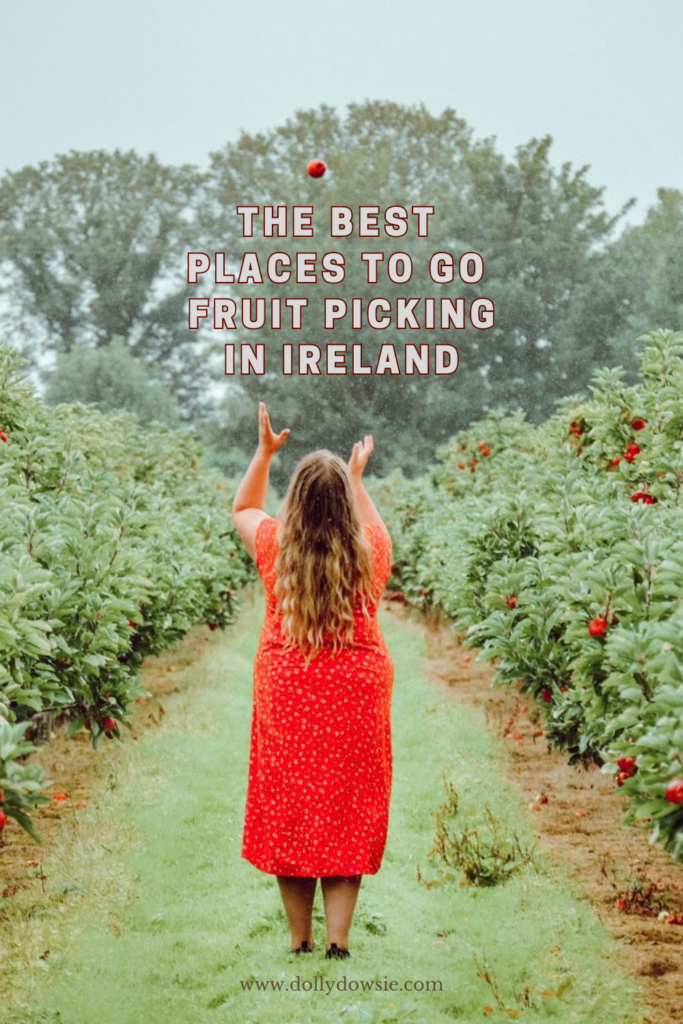 Fruit picking in Ireland