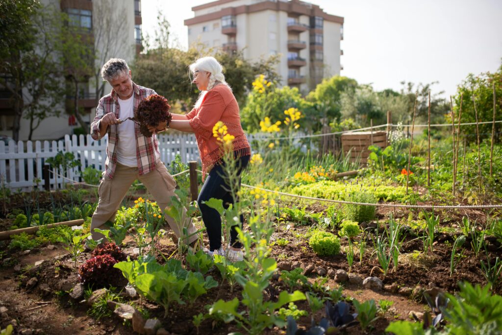Man and woman standing in a vegetable garden