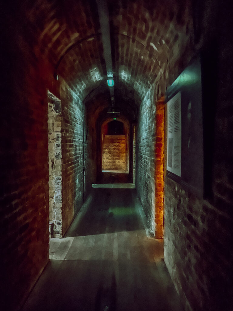 Spike Island cells