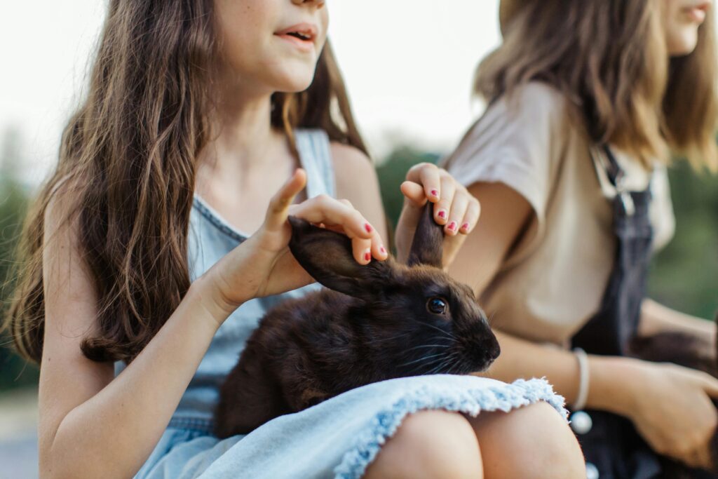 Brown rabbit sitting on a child's lap