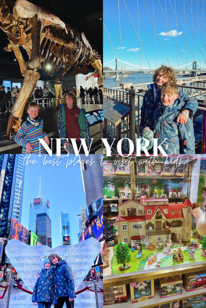 New York with kids pin
