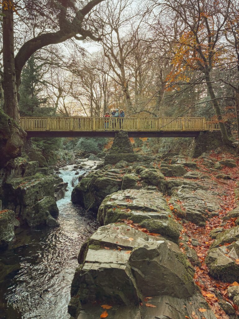 Family standing on a wooden bridge over a river in autumn