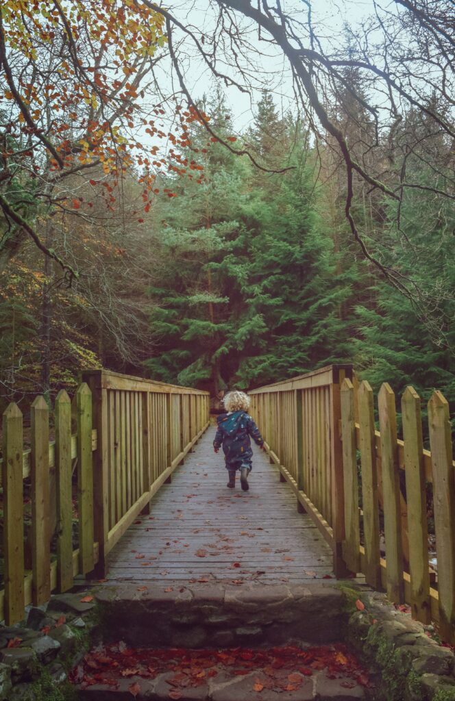 Toddler with blonde curls walking over a wooden bridge in a forest area