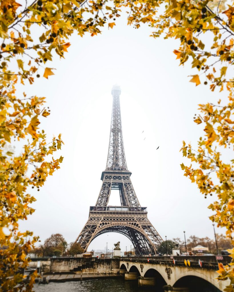 View of the Eiffel Tower with yellow flowers