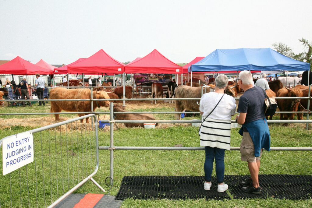 Two people standing in front of safety fencing at a county fair