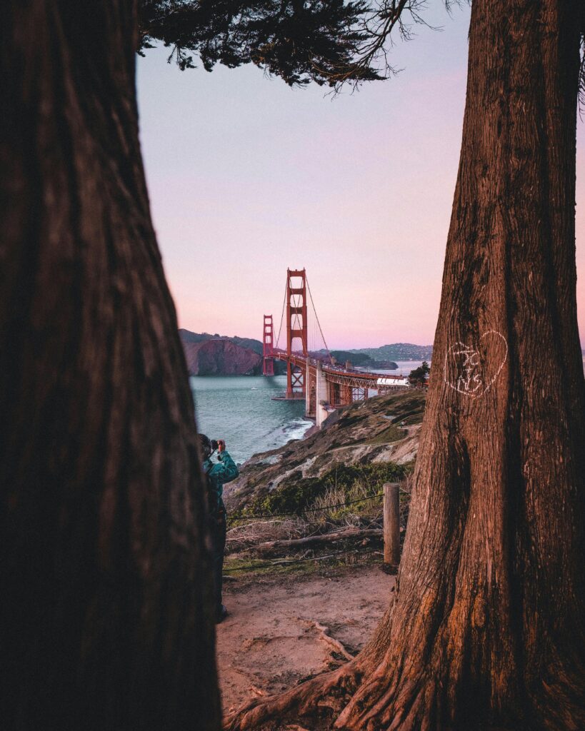 Golden Gate Bridge view from behind trees