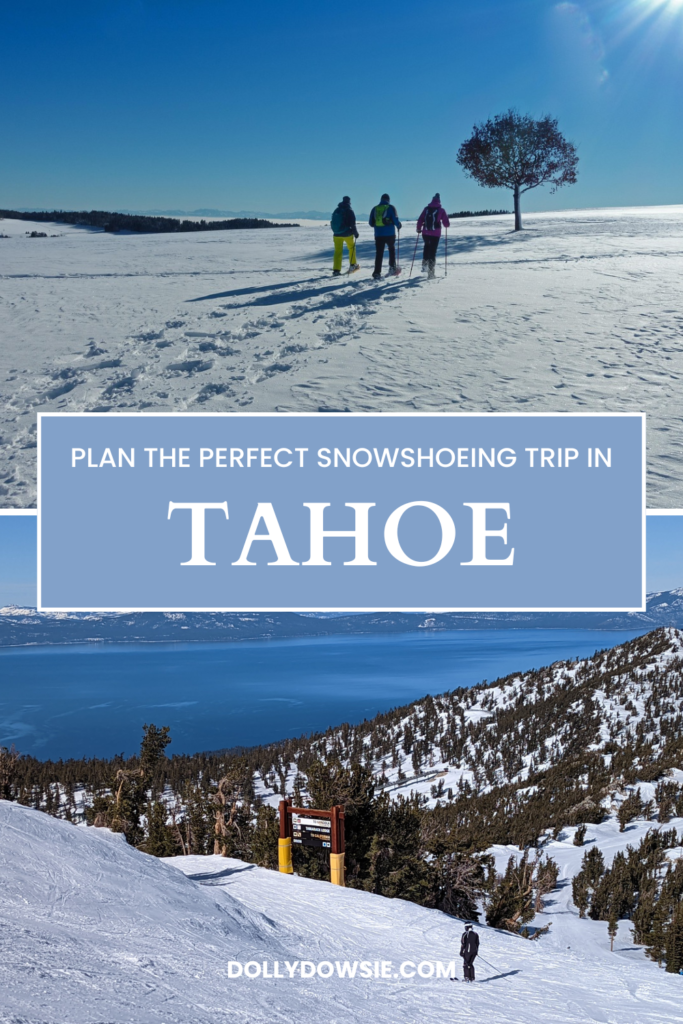 Plan the perfect snowshoeing trip in Tahoe
