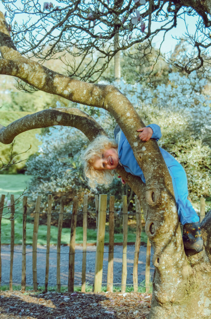 Toddler boy climbing a tree