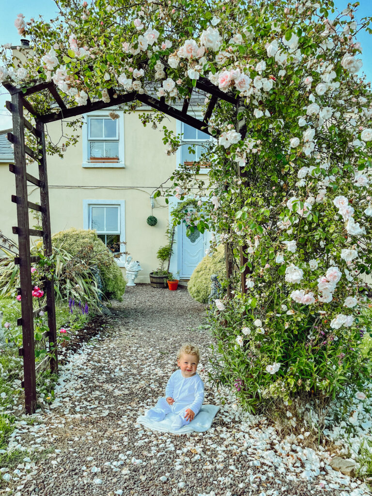 Baby boy sitting under a floral trellis in front of a yellow house