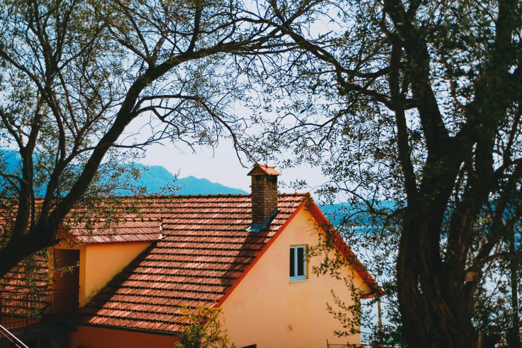 View of a house roof