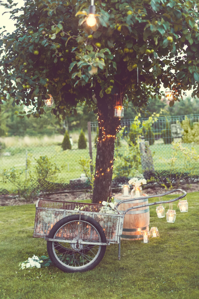 Outdoor garden decoration with lights