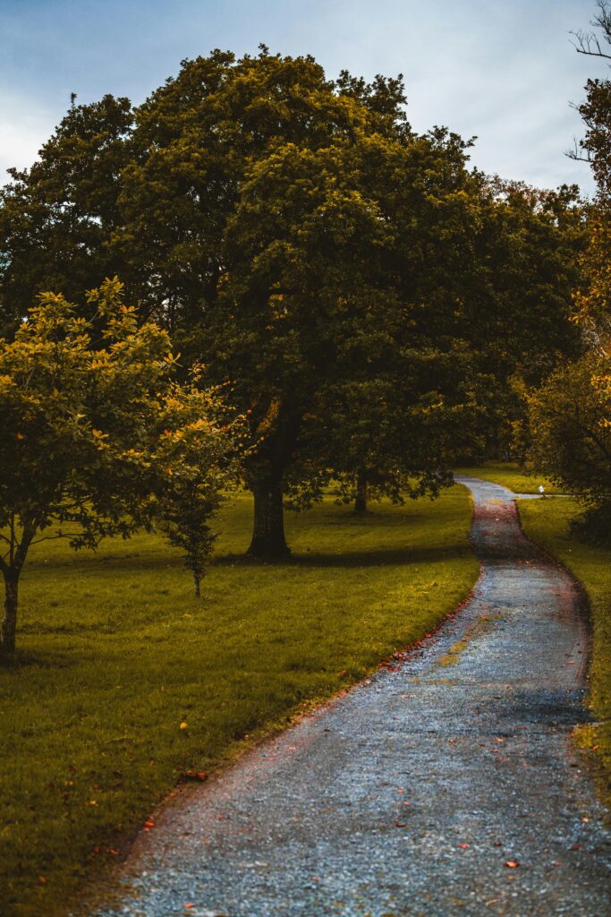 Lough Key Forest Park