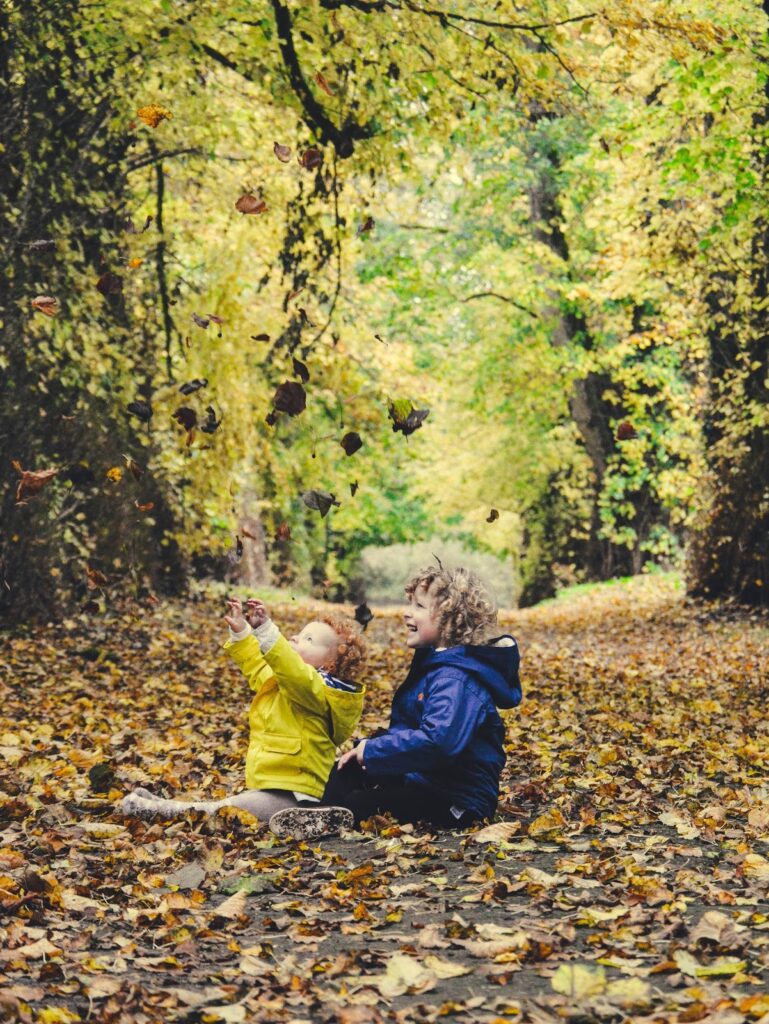 Two boys playing in the autumn leaves