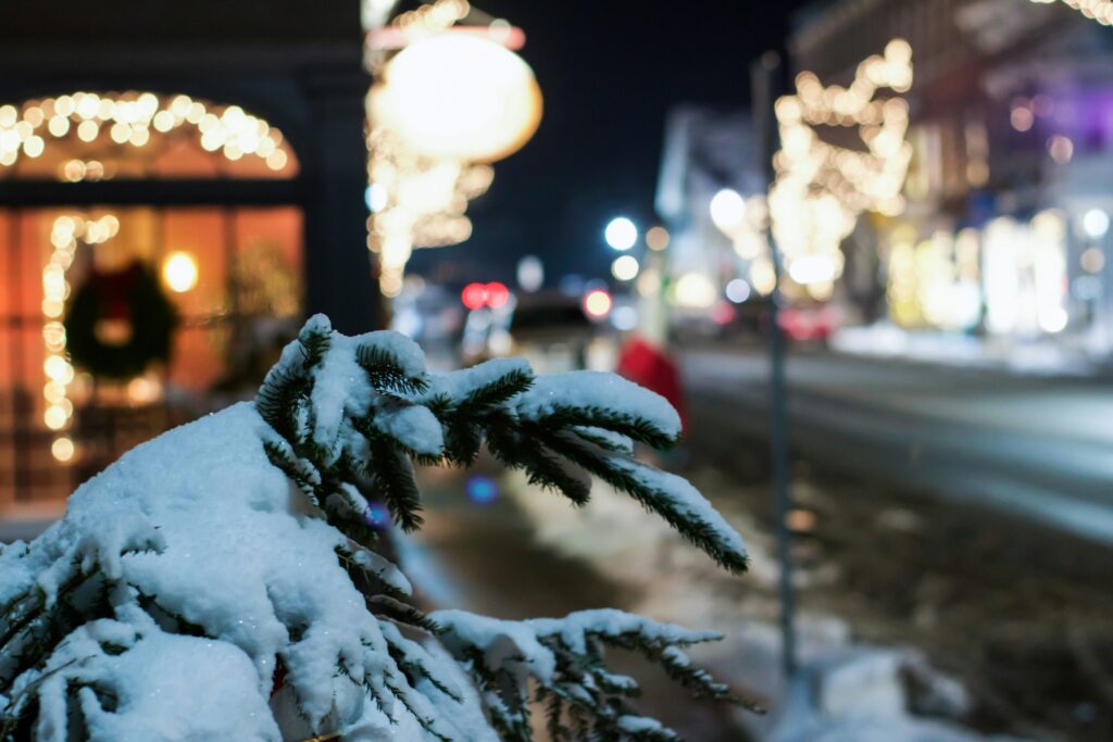 Snowy view of Woodstock