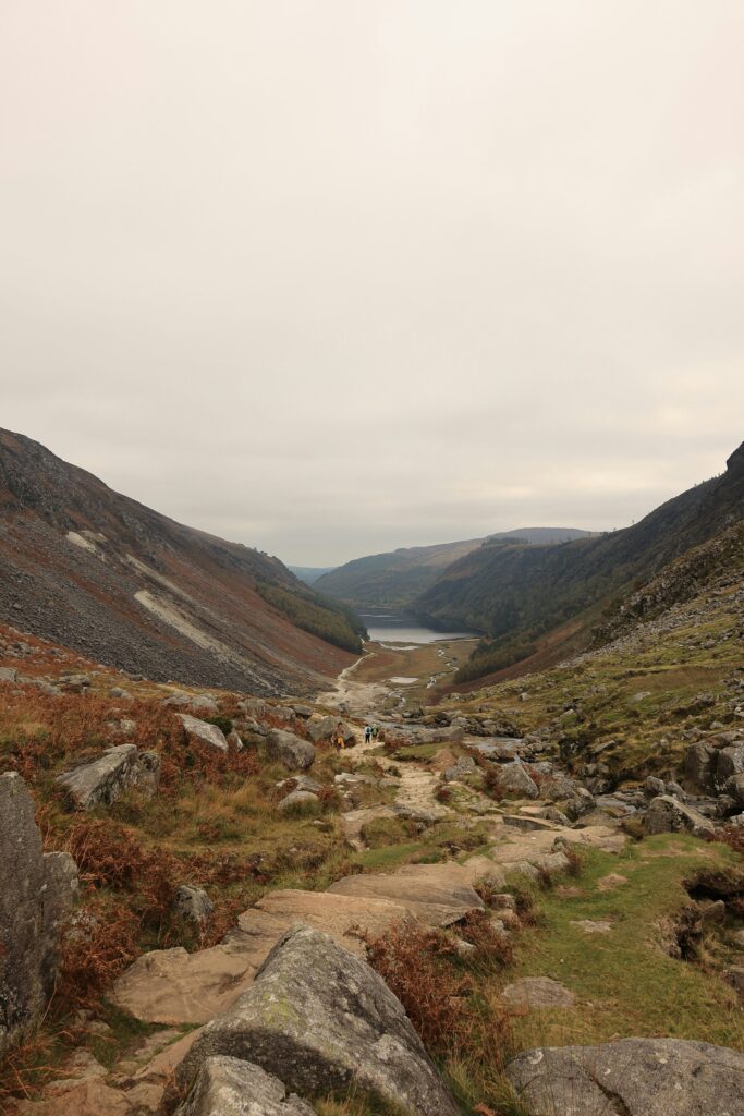 View of he Wicklow Way