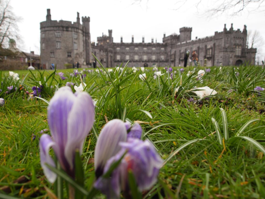 View of Kilkenny Castle with flowers