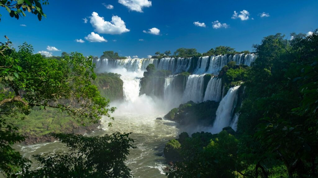Waterfall in a lush green forest