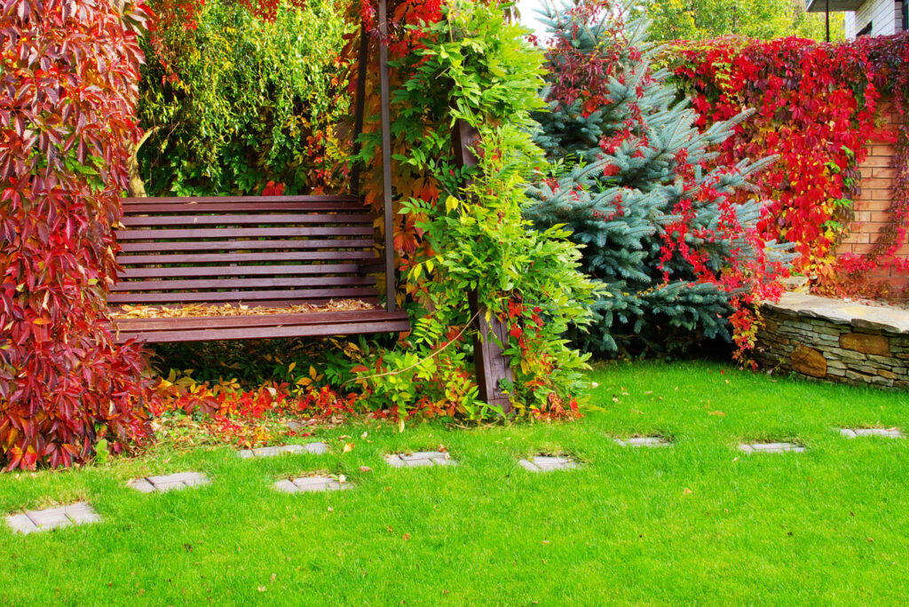 Beautiful garden in autumn