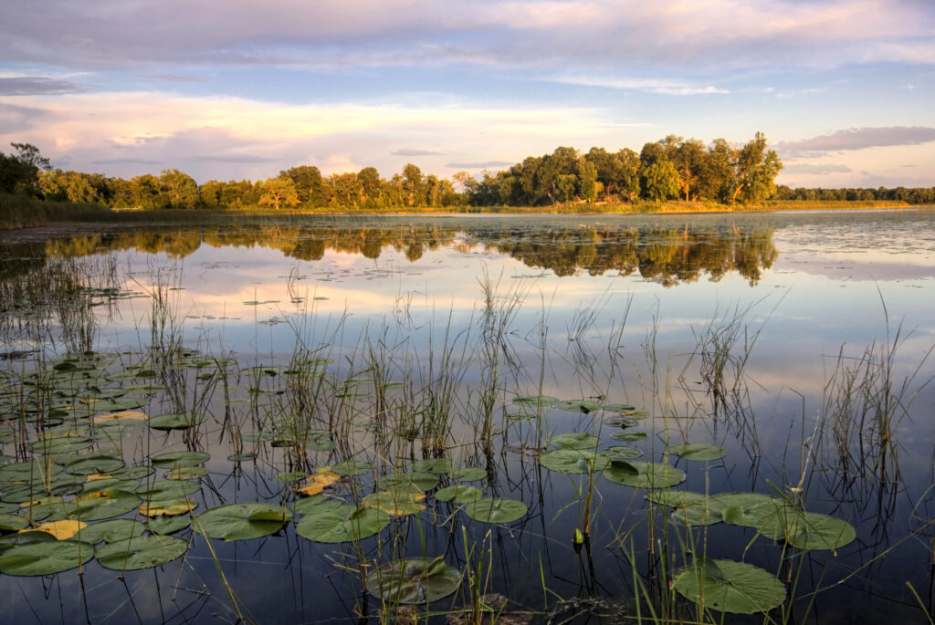 Lake view in Minnesota