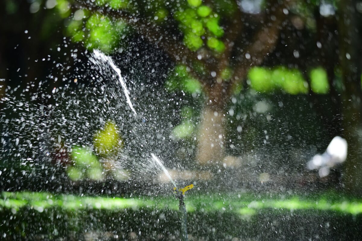 Sprinkler working in garden